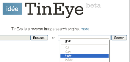 TinEye Search
