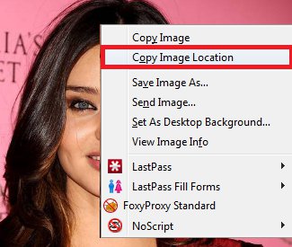 Copy the image location
