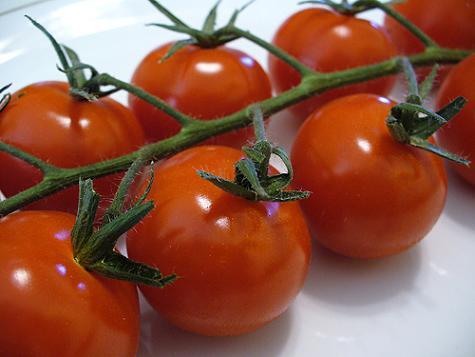 tomatoes