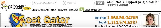 get great hosting support